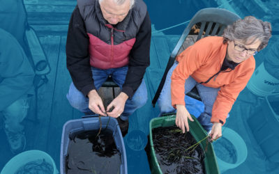 Tending Our Marine Garden