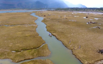 Squamish Estuary Clean Up